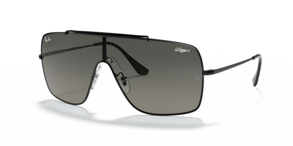 Ray-Ban RB3697