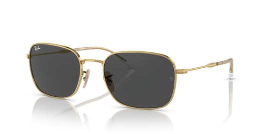 Ray-Ban RB3706