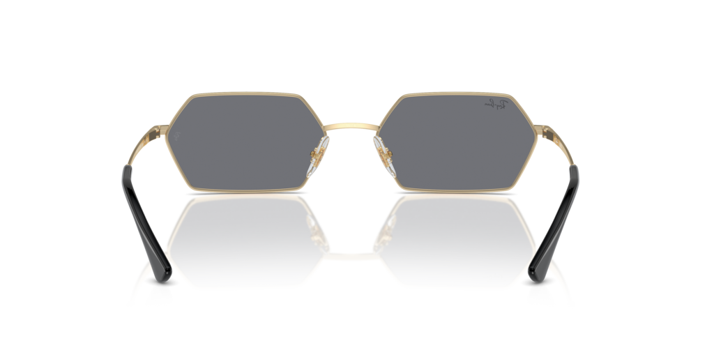 Ray Ban RB3728 92136V Güneş Gözlükleri