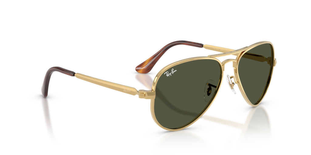 Ray-Ban RB3925 001/31