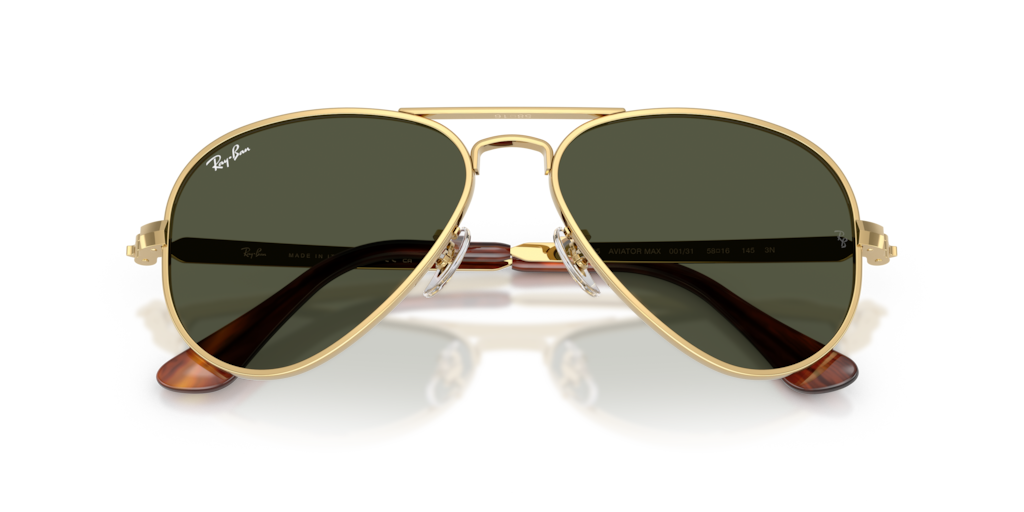 Ray-Ban RB3925 001/31