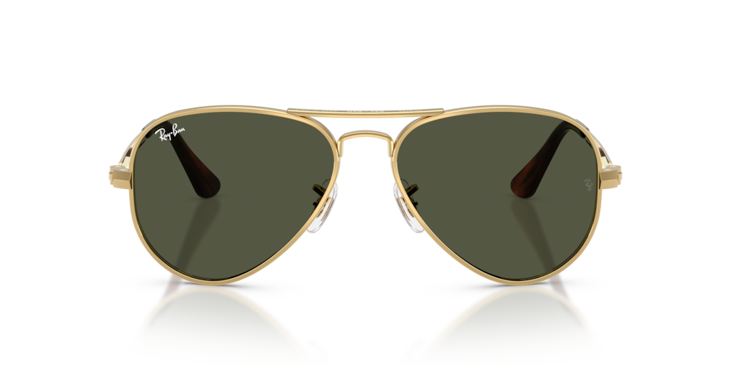 Ray-Ban RB3925 001/31