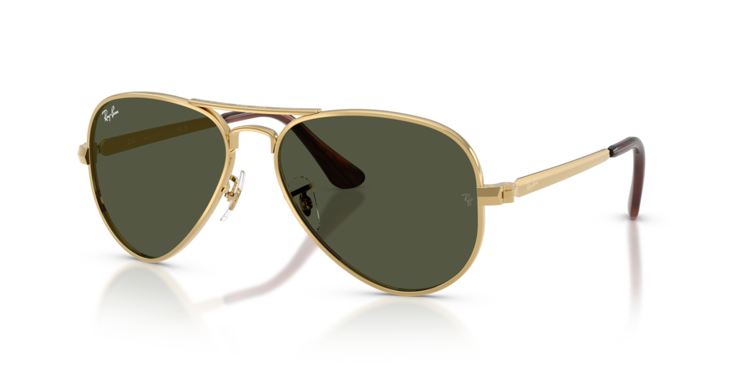 Ray-Ban RB3925