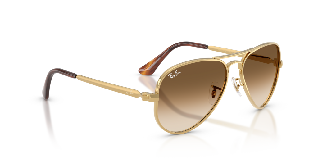 Ray-Ban RB3925 001/51