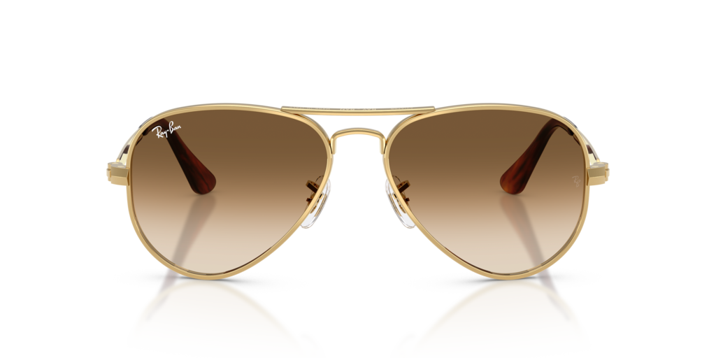 Ray-Ban RB3925 001/51