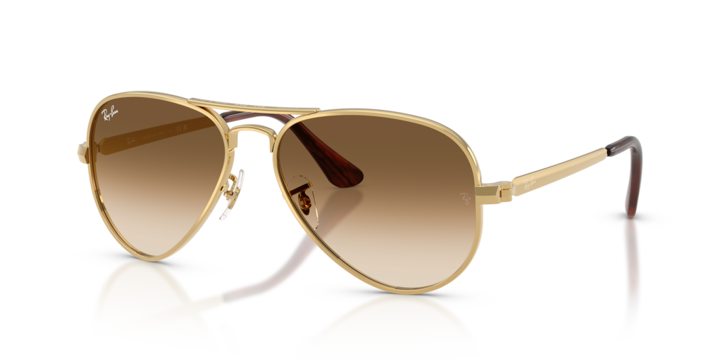 Ray-Ban RB3925