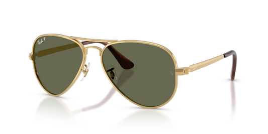 Ray-Ban RB3925