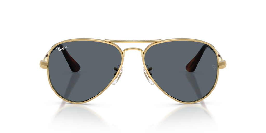 Ray-Ban RB3925 001/R5