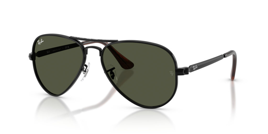 Ray-Ban RB3925