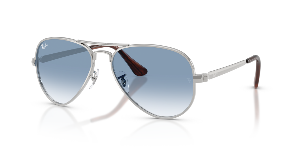 Ray-Ban RB3925
