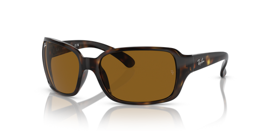 Ray-Ban RB4068