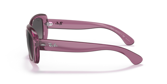 Ray-Ban RB4101 6591M3