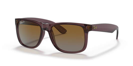Ray-Ban RB4165