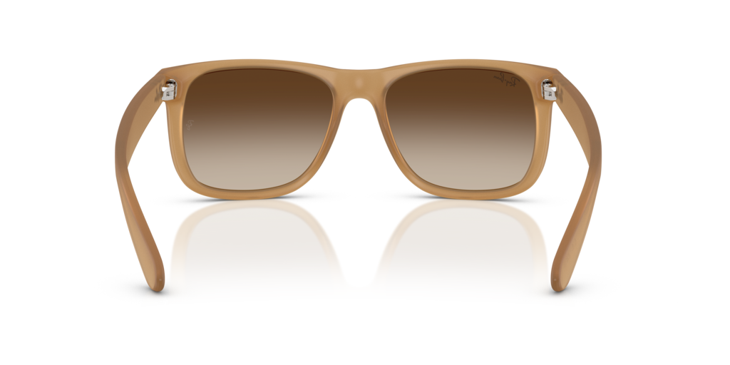 Ray-Ban RB4165 681413