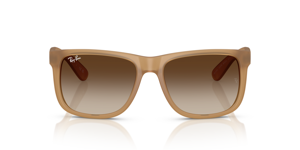 Ray-Ban RB4165 681413
