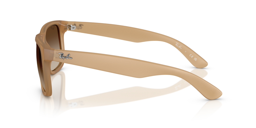 Ray-Ban RB4165 681413