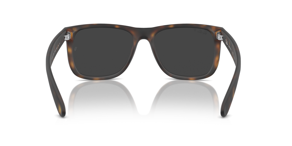 Ray-Ban RB4165 865/87