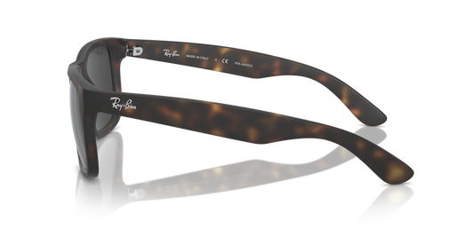 Ray-Ban RB4165 865/87
