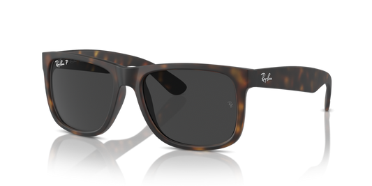 Ray-Ban RB4165