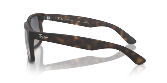 Ray-Ban RB4165 865/8S