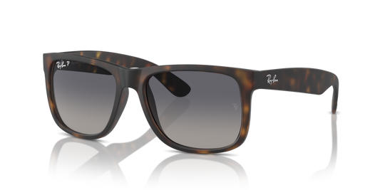 Ray-Ban RB4165