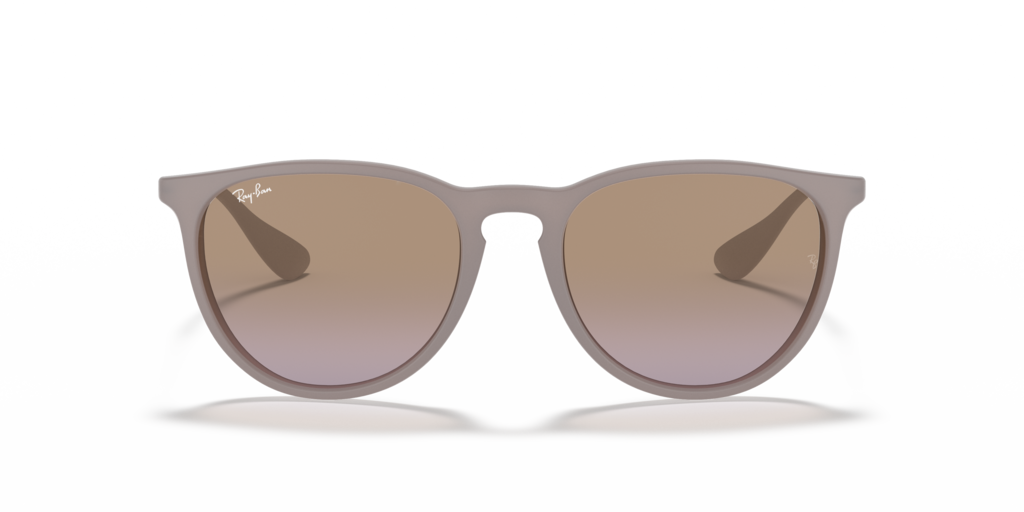 Ray Ban RB4171 600068 54 Güneş Gözlükleri