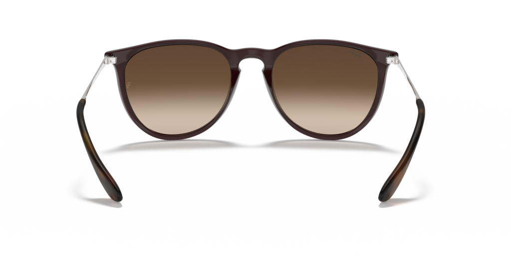 Ray Ban RB4171 631513 54 Güneş Gözlükleri