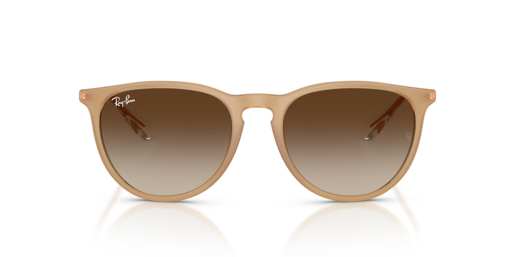 Ray-Ban RB4171 681413