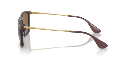 Ray-Ban RB4187 6593T5