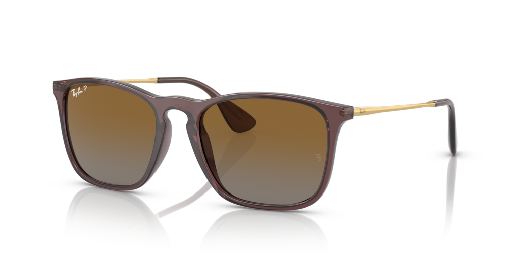 Ray-Ban RB4187