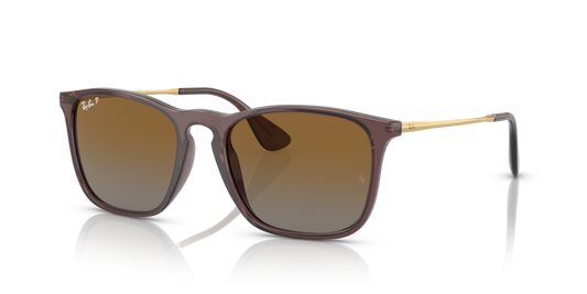 Ray-Ban RB4187