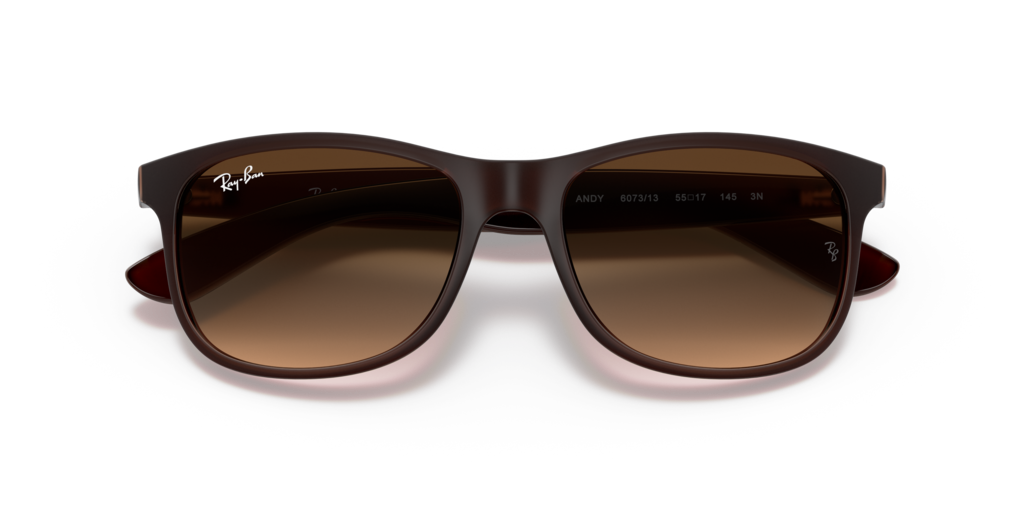 Ray Ban RB4202 607313 55 Güneş Gözlükleri