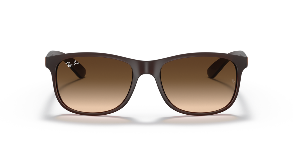 Ray Ban RB4202 607313 55 Güneş Gözlükleri