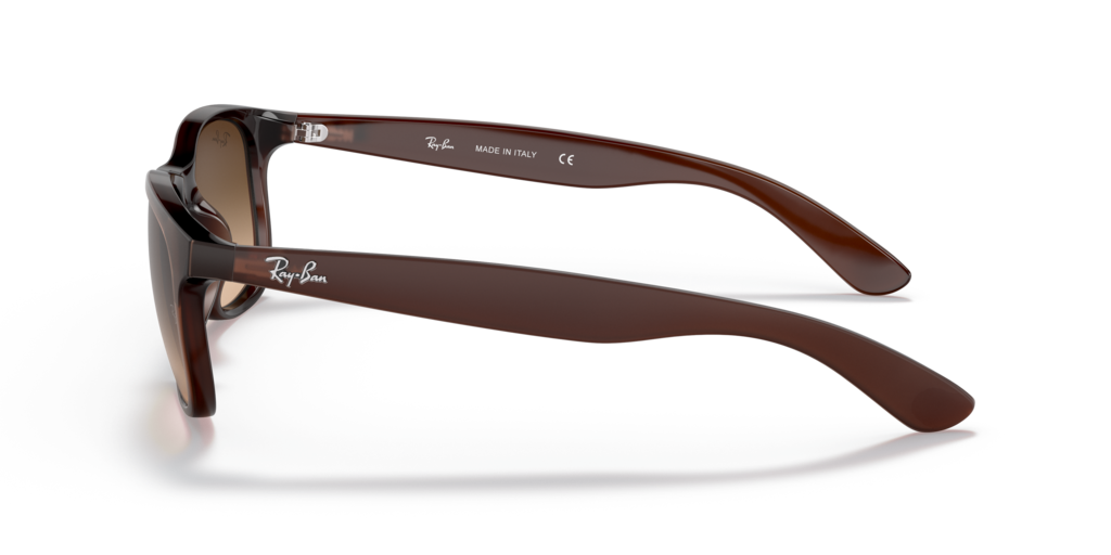 Ray Ban RB4202 607313 55 Güneş Gözlükleri