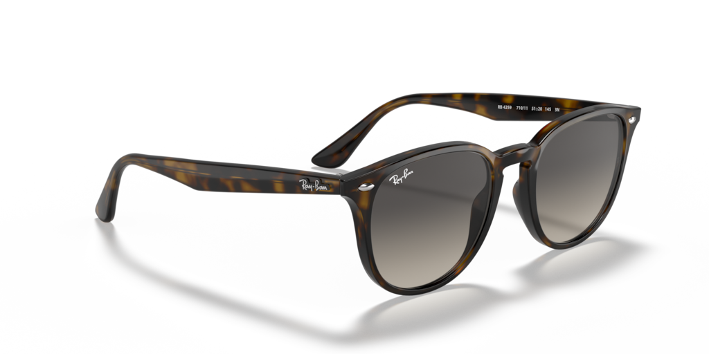 Ray Ban RB4259 710/11 51 Güneş Gözlükleri