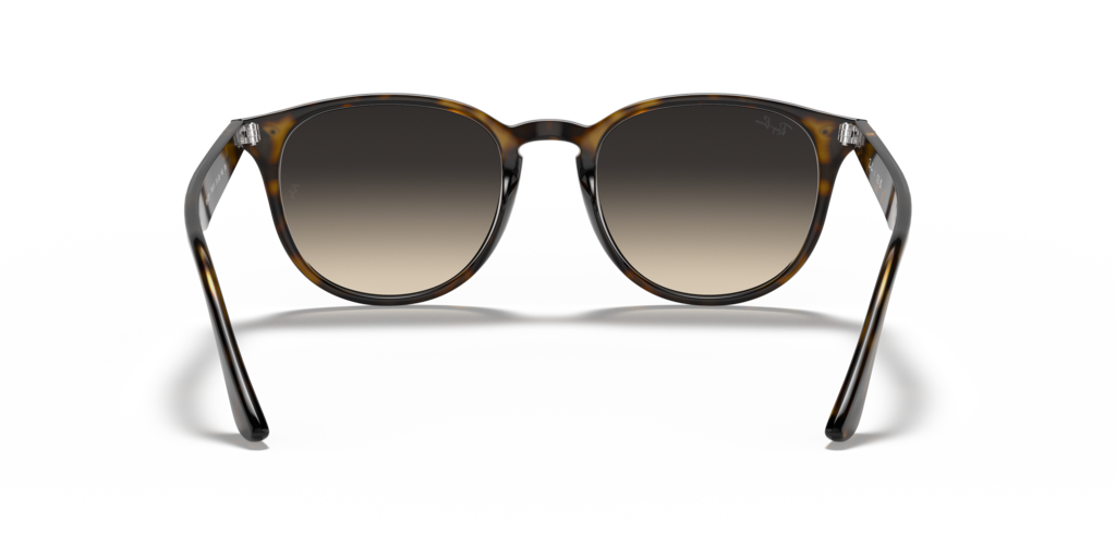 Ray Ban RB4259 710/11 51 Güneş Gözlükleri
