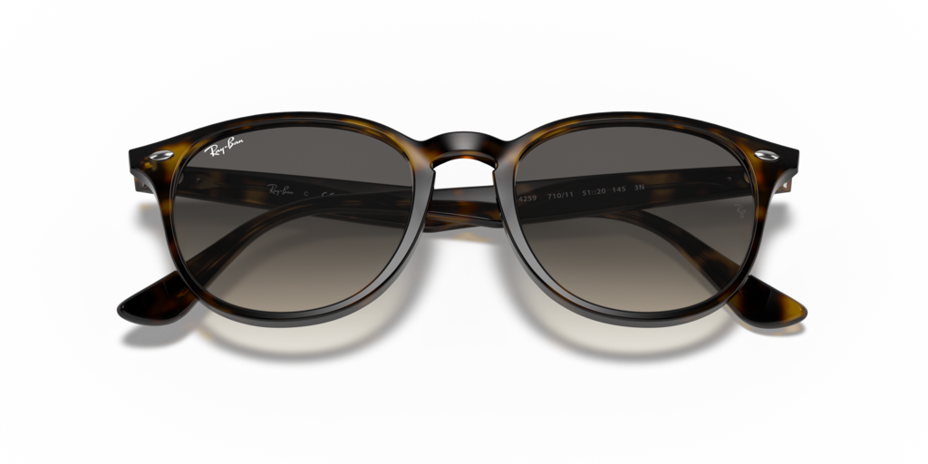 Ray Ban RB4259 710/11 51 Güneş Gözlükleri