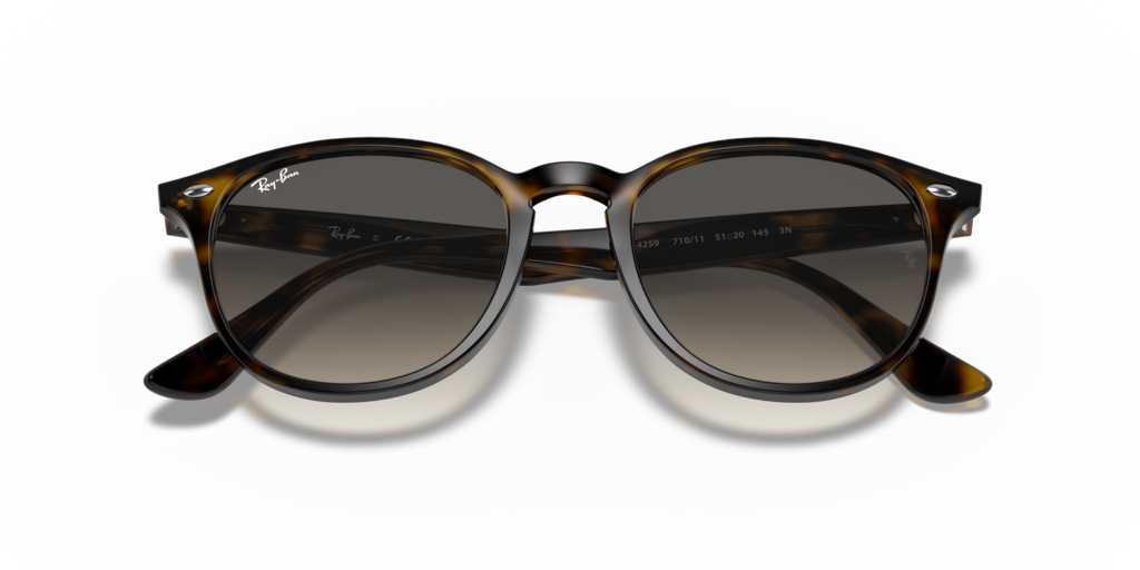 Ray Ban RB4259 710/11 51 Güneş Gözlükleri