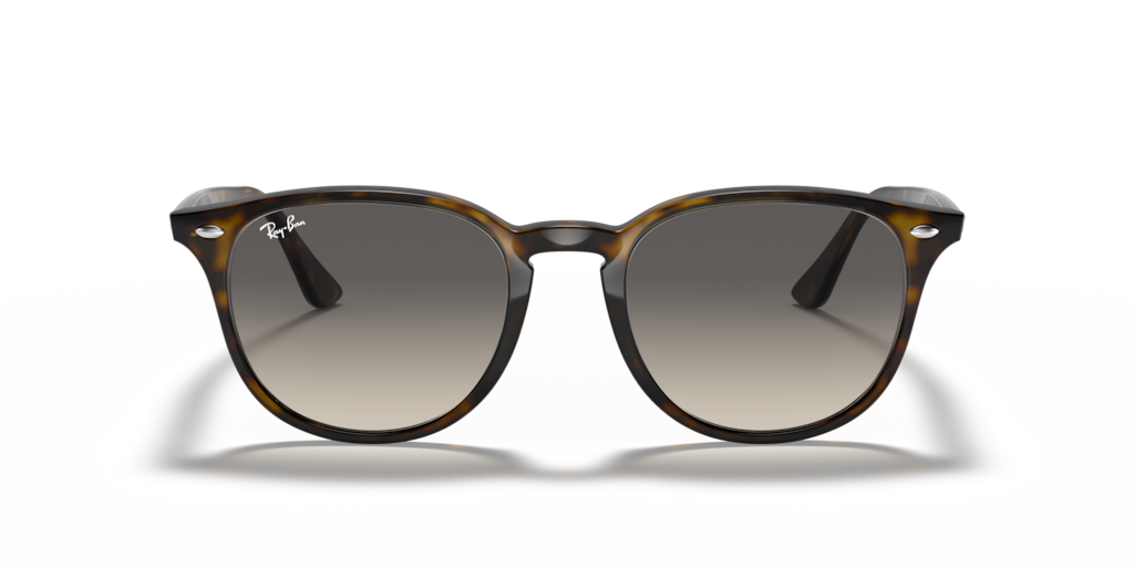 Ray Ban RB4259 710/11 51 Güneş Gözlükleri