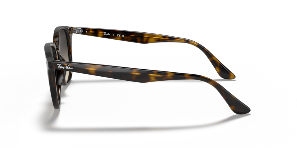 Ray Ban RB4259 710/11 51 Güneş Gözlükleri