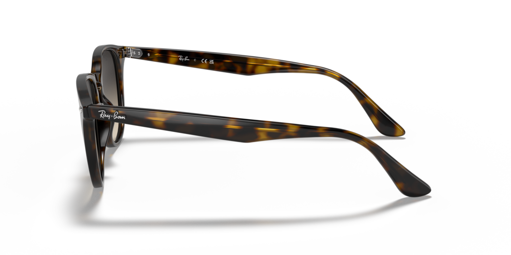 Ray Ban RB4259 710/11 51 Güneş Gözlükleri