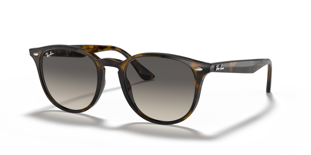Ray Ban RB4259 710/11 51 Güneş Gözlükleri