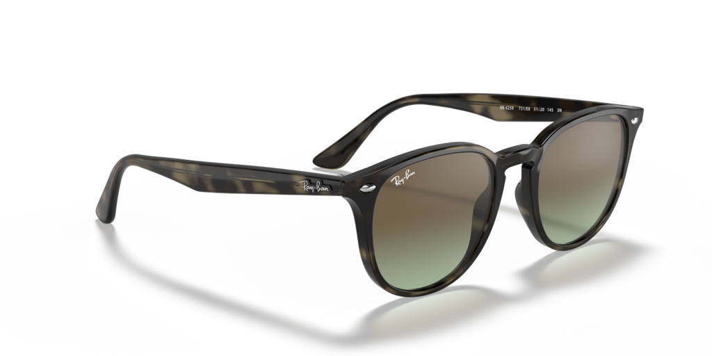 Ray-Ban RB4259 731/E8