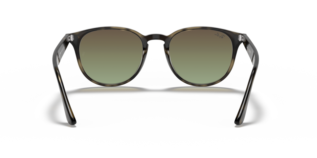 Ray-Ban RB4259 731/E8