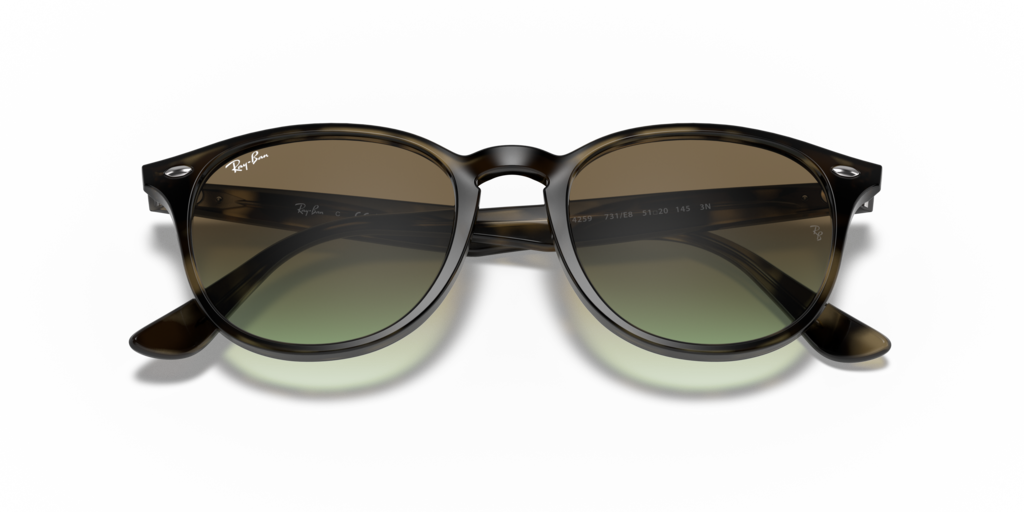 Ray-Ban RB4259 731/E8