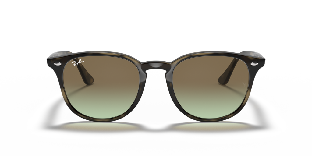 Ray-Ban RB4259 731/E8