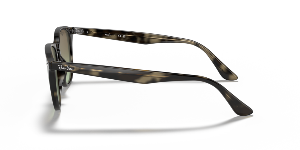 Ray-Ban RB4259 731/E8