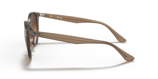 Ray-Ban RB4305 616613
