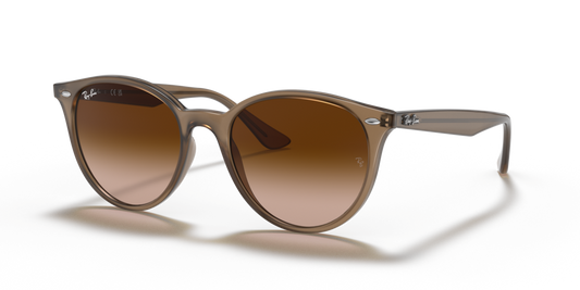 Ray-Ban RB4305