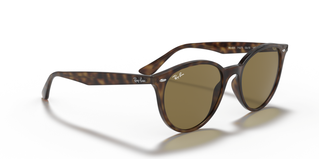 Ray-Ban RB4305 710/73
